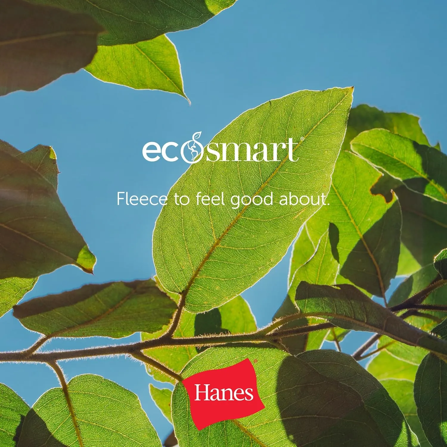 Hanes Boys' Eco Smart Pullover Hoodie